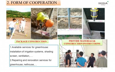 Our service
